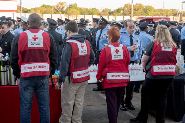 33473991715_2849fb91a5_o