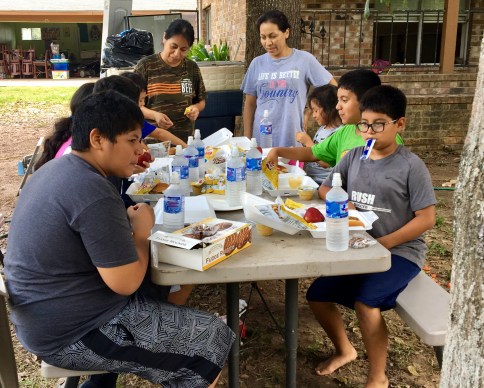 FOR Hot Summer Day_Picnic in Sealy