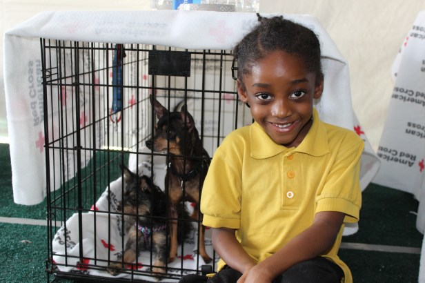 shelter at Greenspoint Mall in Houston, Texas.