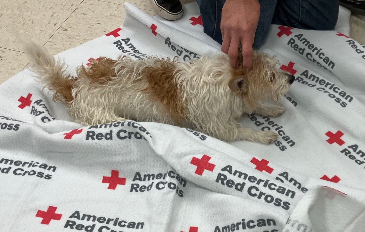 Red Cross shelter team welcomes OP – Texas Gulf Coast American Red Cross